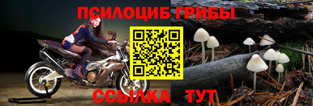 Галлюциногенные грибы прущие грибы Ленинск-Кузнецкий